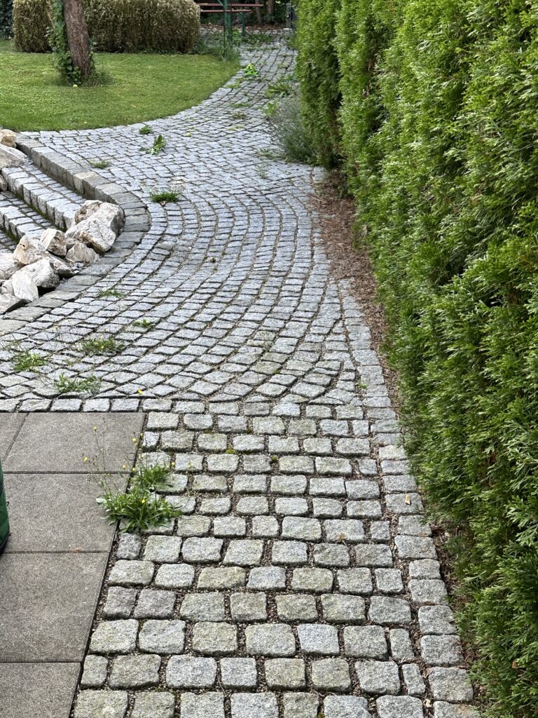 Gartenweg mit Moos und Unkraut vor der Reinigung in Aalen - DG Hofservice